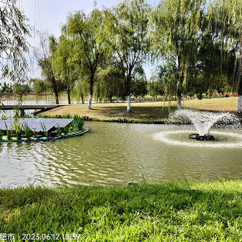 High Efficiency Solar Powered Pond Aerator 380V 0.5KW Solar Fish Pond Aerator