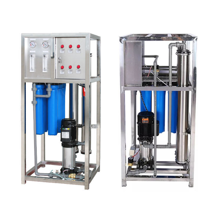 250LPH 500LPH Ro Drinking Water Treatment Plant RO System Water Filter System Reverse Osmosis Plant