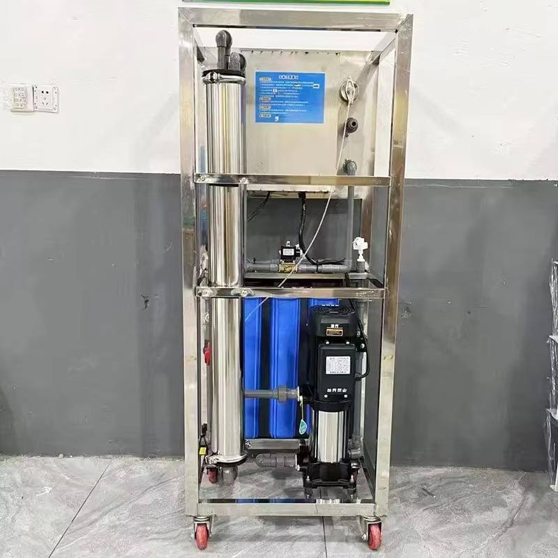 250LPH 500LPH Ro Drinking Water Treatment Plant RO System Water Filter System Reverse Osmosis Plant