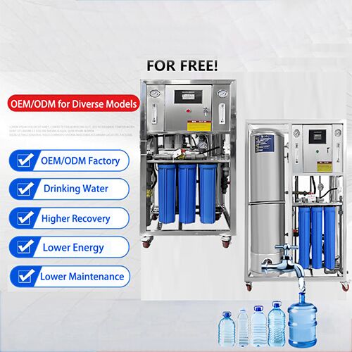 Small Factory Drinking Water Treatment Equipment Well Water Reverse Osmosis Machinery RO Filter Mineral Water Making Machine