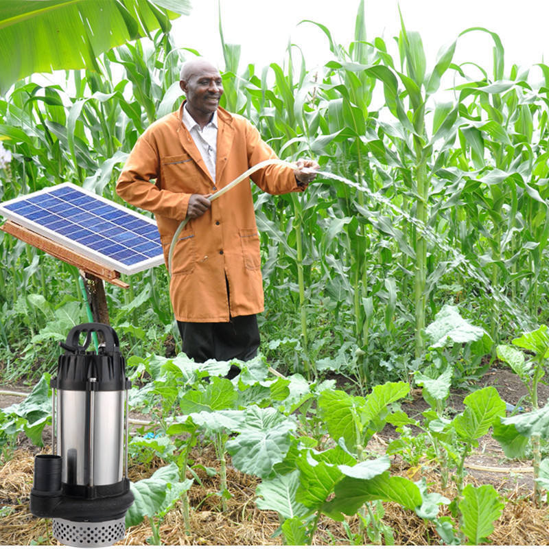 DC24v In-bulit Controller Solar Water Pump Submersible BLDC Motor Deep Well Solar Water Pump For Agriculture