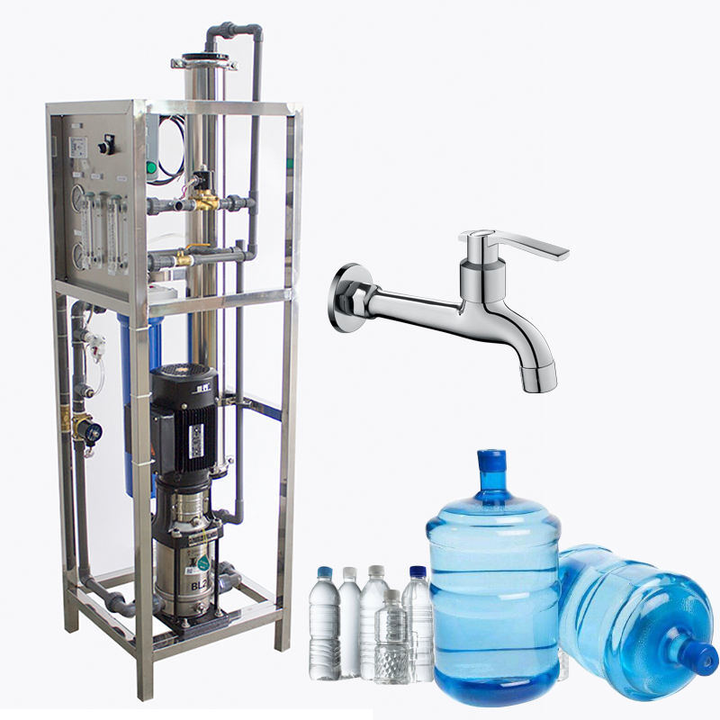 Small Factory Drinking Water Treatment Equipment Well Water Reverse Osmosis Machinery RO Filter Mineral Water Making Machine
