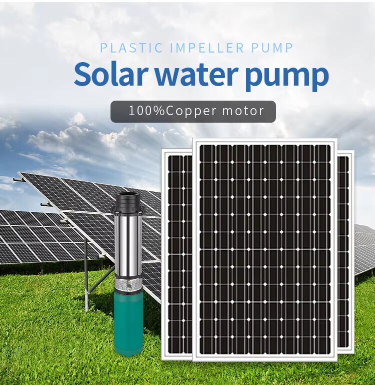 Solar Energy System Dc Agriculture Irrigation Fountain Garden Price 3 Inch Solar Water Pump