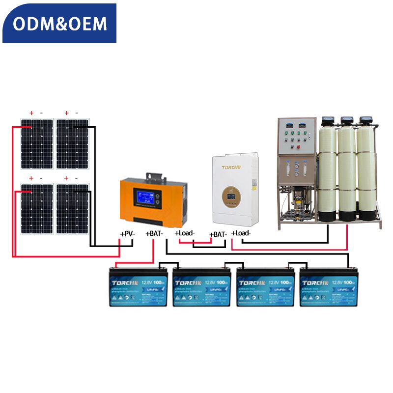 500lph 1000lph Solar Panels Seawater Desalination RO Plant Desalination Of Sea Water Machine For Drinking Ro Water Treatment
